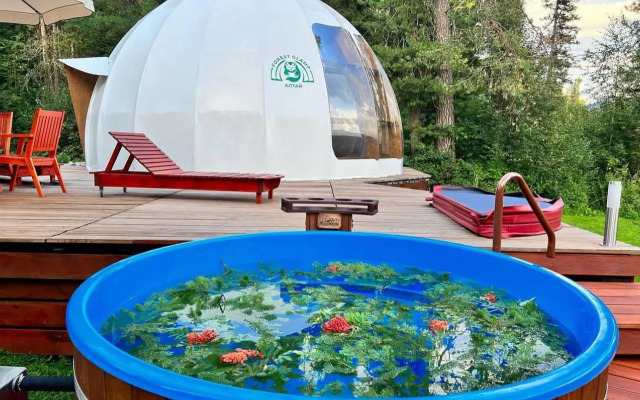 Recreation camp Altay Forest Glamp