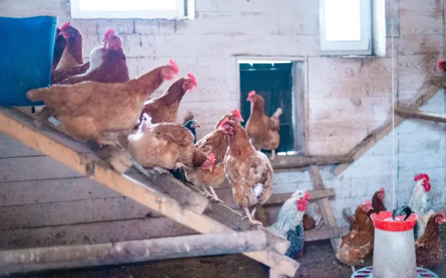 Гостевой дом Семь озер