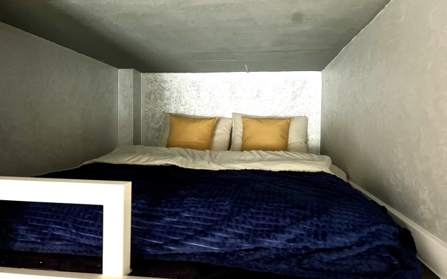 Апартаменты Двухуровневая Квартира в Центре города