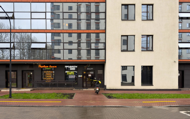 Апартаменты Pulkovo Star