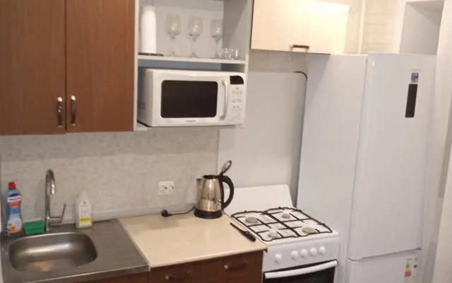 Апартаменты рядом с островом отдыха Татышева