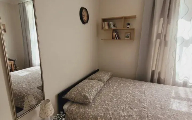 Квартира - студия в иcтoричeскoм цeнтре Санкт-Пeтеpбургa (3)