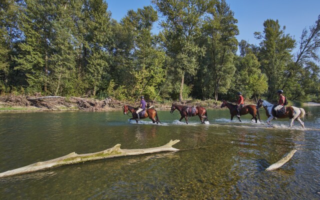 Вилла Holiday House Podhamer Marijan
