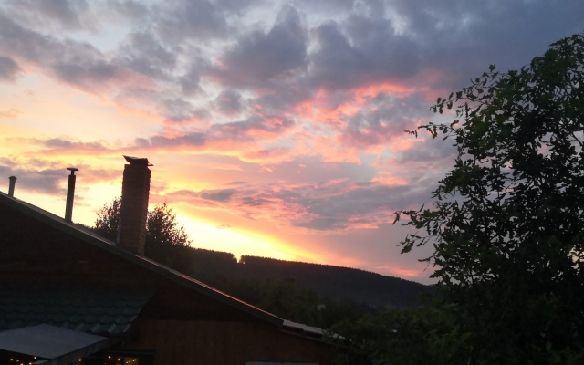 Gostevoy Dom Country Homestay Altai Guest House