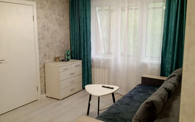 Квартира Апартаменты Двухкомнатная Квартира Елизаровых 25