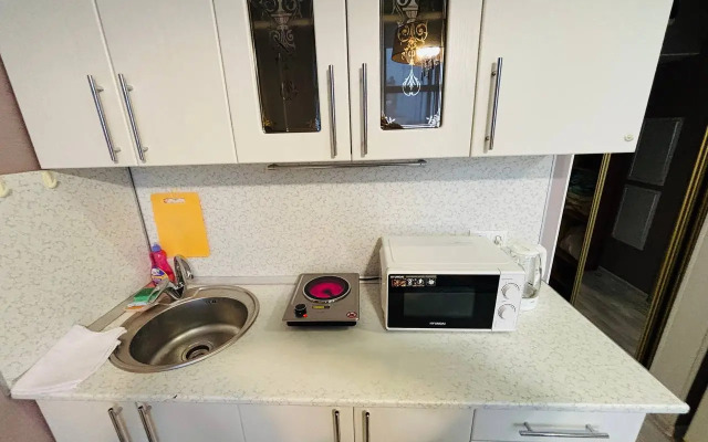 Studiya S Balkonom I Vannoy Apartment