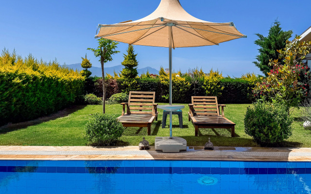Limon Villa