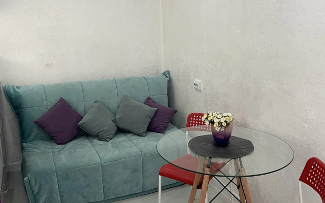 Квартира однокомнатная в частном доме