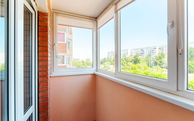 Uyutnaya kvartira v tsentre levoberezhyya Flat