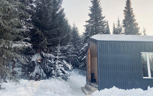 Частный дом Уютный с видом на лес