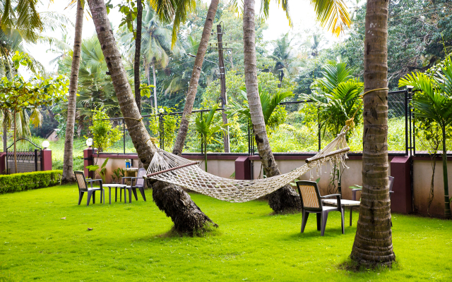 Lazy Frog Goa Guest House