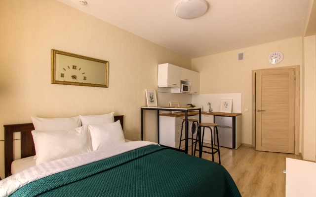 Апартаменты Студия Natalie Apartments Пулковское шоссе 14 Е (18)