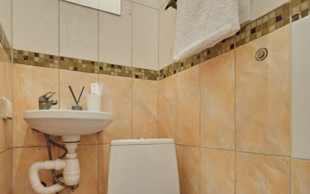 V Tsentre Goroda Flat