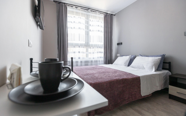 Studiya Na P. Romanova Apartments