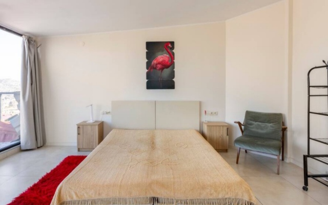 Eagles Nest 2 Apartments