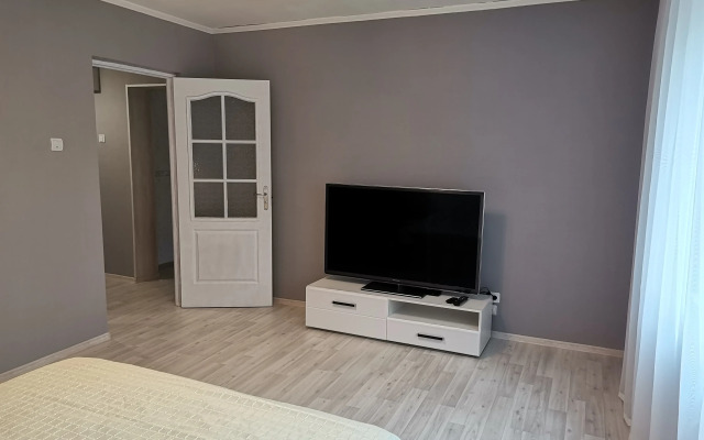 V Kaliningrade Apartments