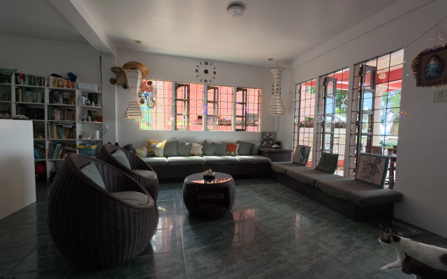 Отель FreeDive Inn