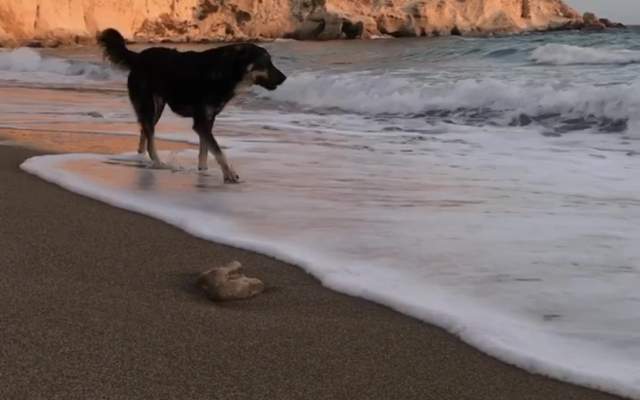 Yukari Sokak VIP Butik Otel