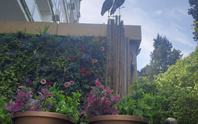 Palma Sochi 7