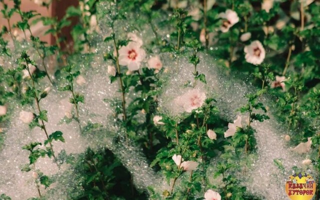 Гостевой Дом Казачий Хуторок