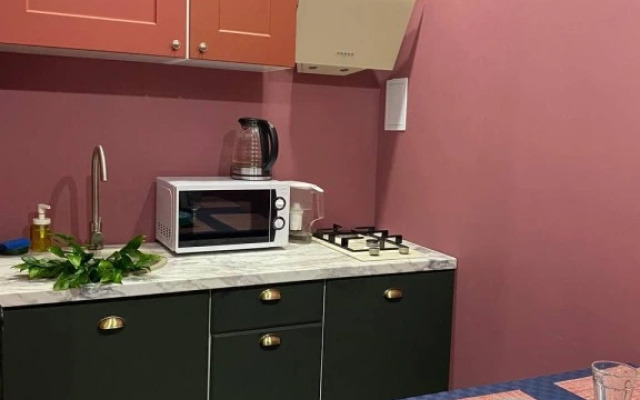 Апартаменты Paradnaya №7