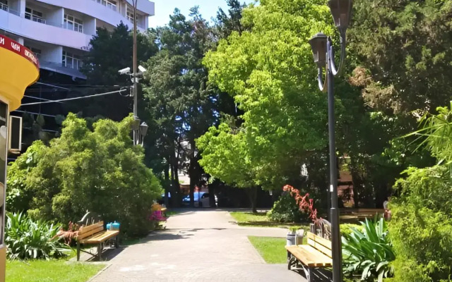V Novom Dome Tsentr Adlera Flat