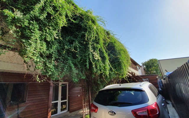 Oksana Guest House