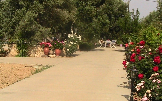 Afroditi Villa