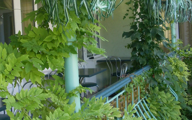 Izumrudny Guest house