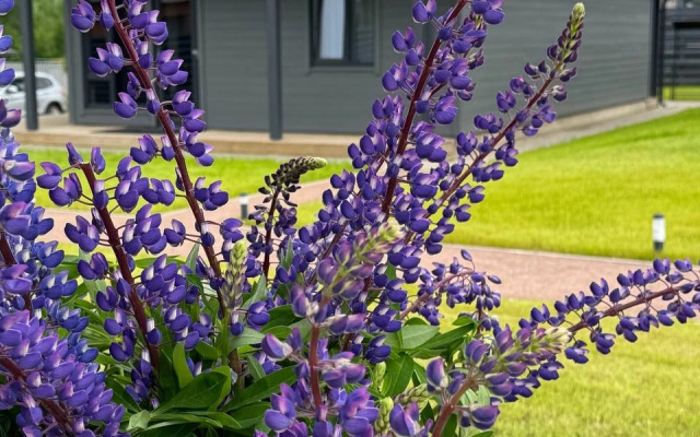 Шале Горки47