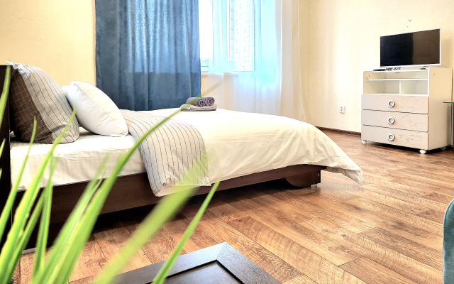 Stylish 1-bedroom apartments in Eastern microdistrict Flat