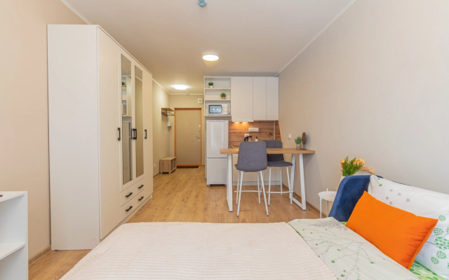 Apartment Standart SalutApart 8