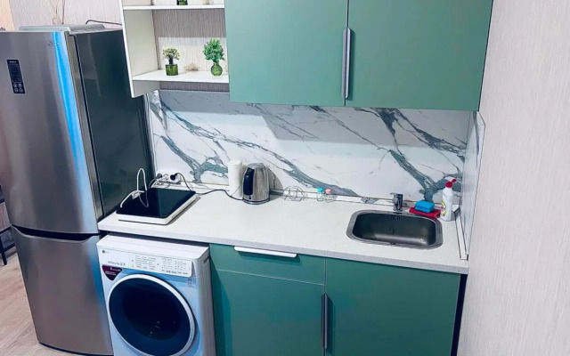 Apartamenty Klassicheskaya Studiya Salyut Pulkovo
