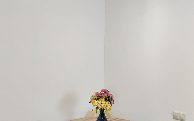 Квартира Студия на Яна Фабрициуса 2/4А (2)