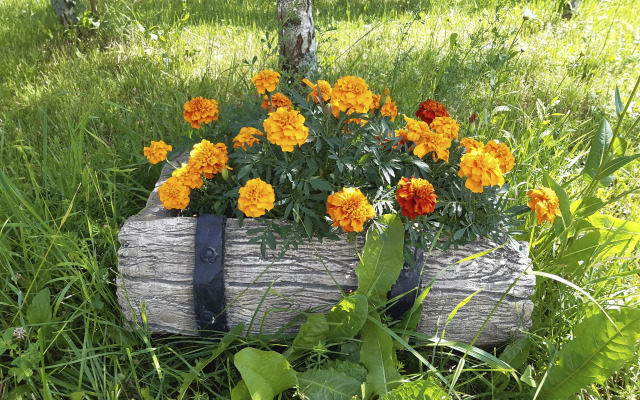 Гостевой дом в деревне Чернокуново