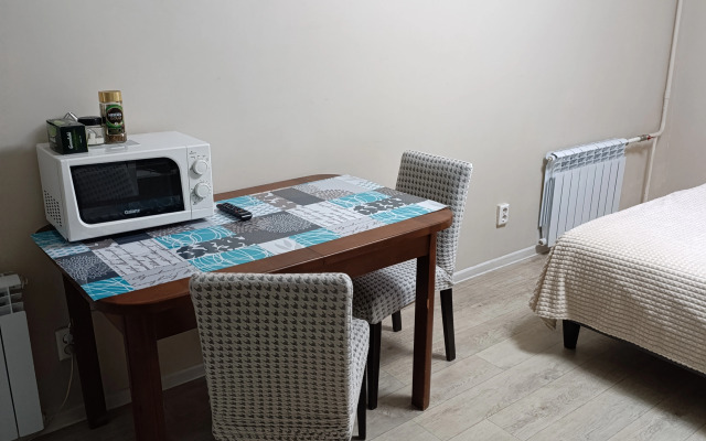 Studio on Pushkin, 13 Flat