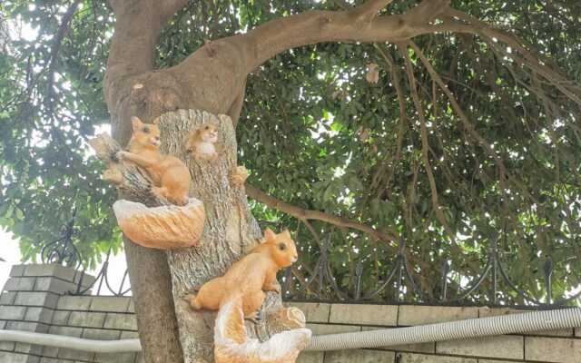 Rajskij Ugolok Gostevoy Dom