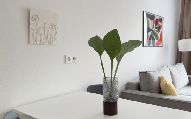 Квартира Светлая