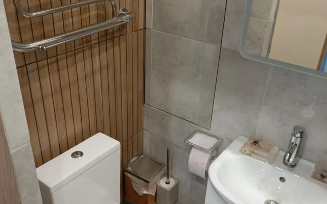Viva Akademicheskaya Flat
