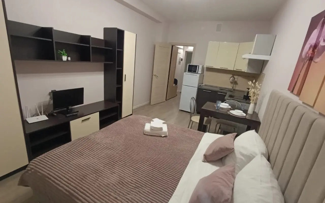 Квартира студия в ЖК Салют