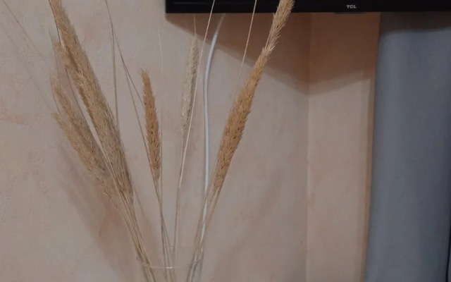 Квартира Уютная в Центре