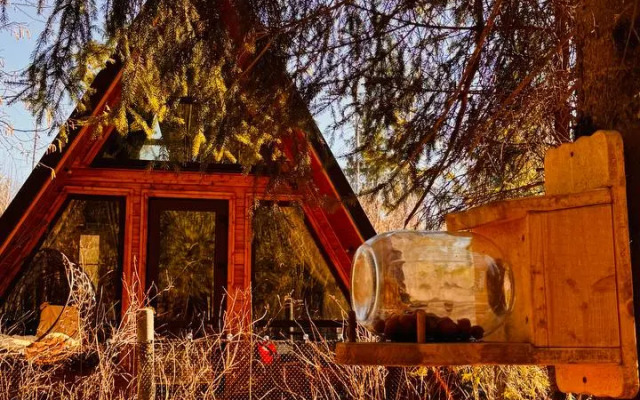 Lisichkin dom Private home
