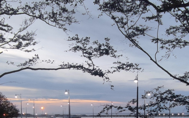 Квартира Пионерский маяк