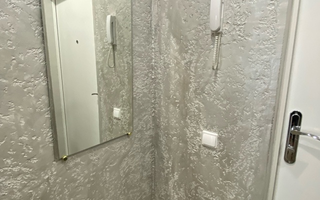 Kvartira v Tsentralnom Rayone Goroda Flat