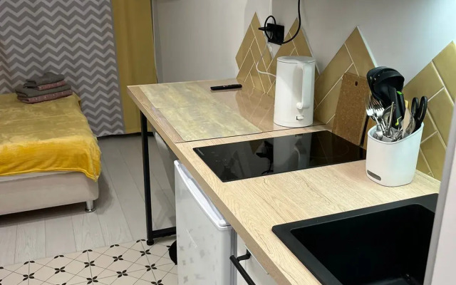 Nebolshaya studiya nedaleko ot Skolkovo Apartments