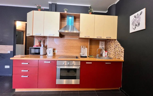 Квартира Просторная 1+ в центре города