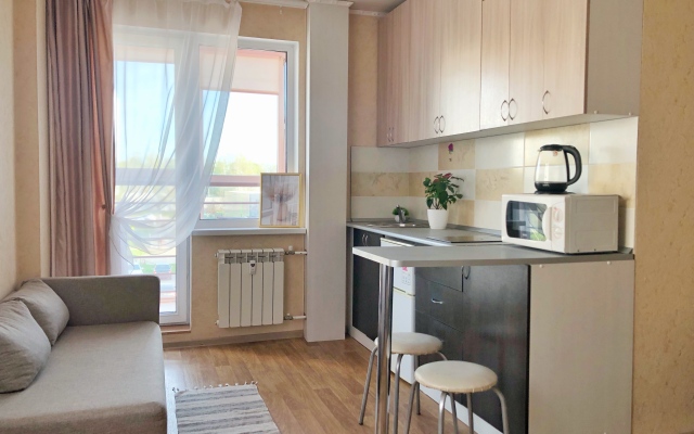 Ryadom S Metro Apartments