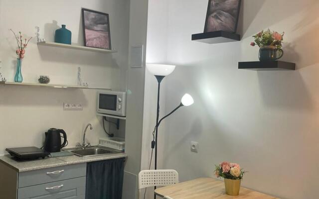 Апартаменты  Ваш Питер 2