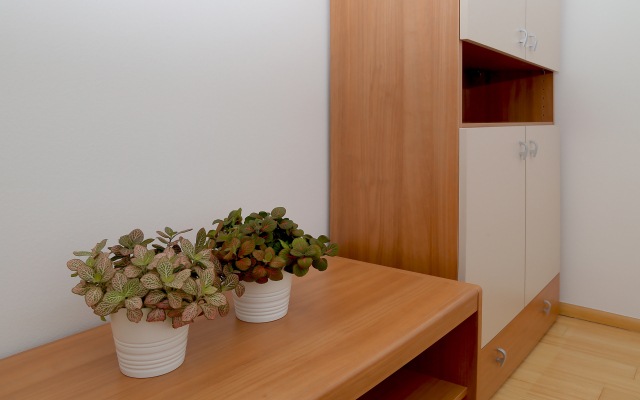 Abelia Apartments