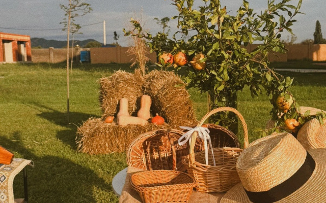 Burki Castle & Cellar Hotel